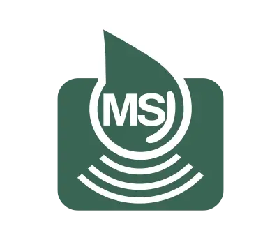 MS